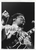B B King ,B. B. King