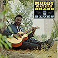 Muddy, brass and the blues, Muddy Waters