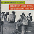 STEEPED IN THE BLUES TRADITION, Lead Belly , Big Bill Broonzy , Lightning Hopkins