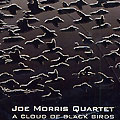 a cloud of black birds, Joe Morris