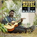 Brass & the blues, Muddy Waters