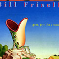 Gone, just like a train, Bill Frisell