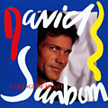 A Change of Heart, David Sanborn