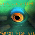 Parrot fish eye, Mats Gustafsson