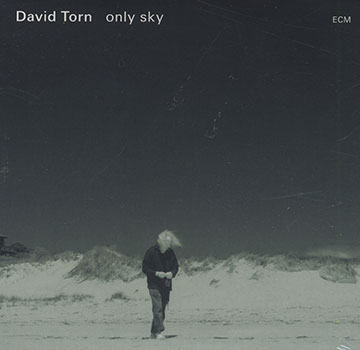 Only sky,David Torn