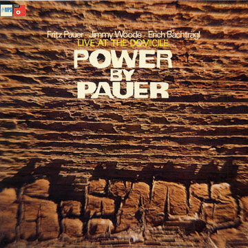 Power by Pauer,Fritz Pauer