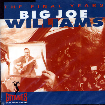 The final years,Big Joe Williams