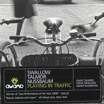 Playing in Traffic,Adam Nussbaum , Steve Swallow , Ohad Talmor
