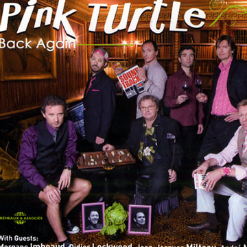 Back Again,Pink Turtle