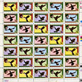 Hummingbird, Clive Chaman , Bernie Holland , Conrad Isidore , Bobby Tench