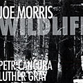 Wildlife, Joe Morris