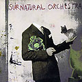 Surnatural Orchestra,  Surnatural Orchestra