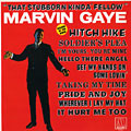 That Stubborn Kinda Fella, Marvin Gaye