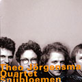 Snijbloemen, Theo Jorgensmann