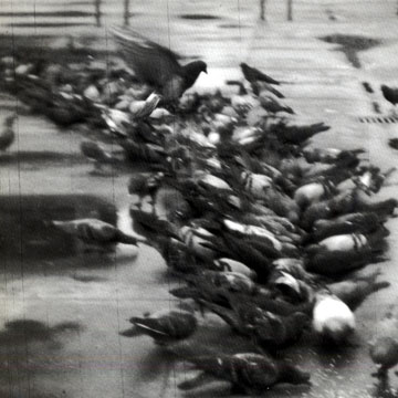 THE SCRATCH ORCHESTRA, - The scratch Orchestra London - 25 cm