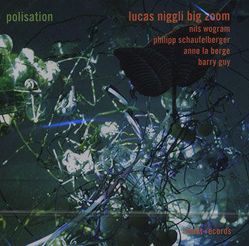 Polisation,Lucas Niggli