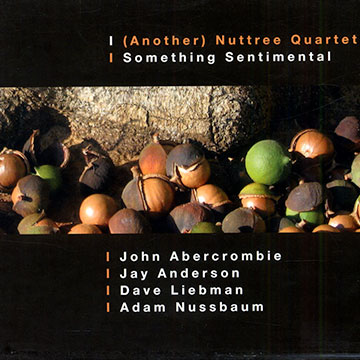 Something sentimental,John Abercrombie , Jay Anderson , Dave Liebman , Adam Nussbaum