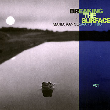 Breaking the surface,Maria Kannegaard