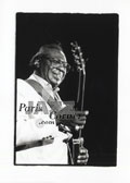 Albert King 1990 ,Albert King