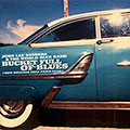 Bucket full of blues, John Lee Sanders