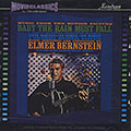 Baby the rain must fall- The caretakers, Elmer Bernstein