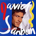 a change of heart, David Sanborn