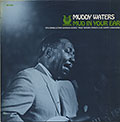 Mud in your ear, Muddy Waters
