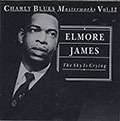 The Sky Is Crying, Elmore James