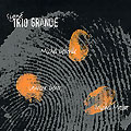 Sign� Trio Grande, Michel Debrulle , Laurent Dehors , Michel Massot