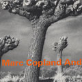 Marc Copland and ..., Marc Copland