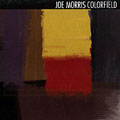 Colorfield, Joe Morris