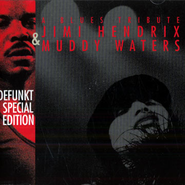 A Blues tribute: Jimi Hendrix and Muddy Waters, Defunkt