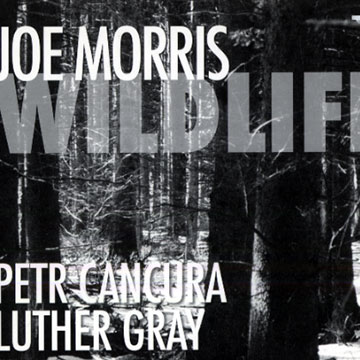 Wildlife,Joe Morris