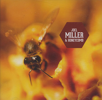 Joel Miller and honeycomb,Joel Miller