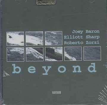 Beyond,Joey Baron , Elliott Sharp , Roberto Zorzi