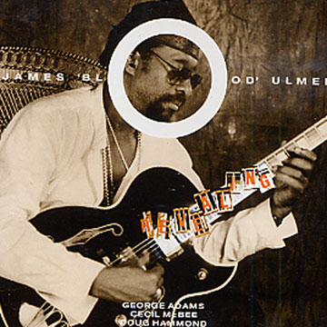 revealing,James Blood Ulmer