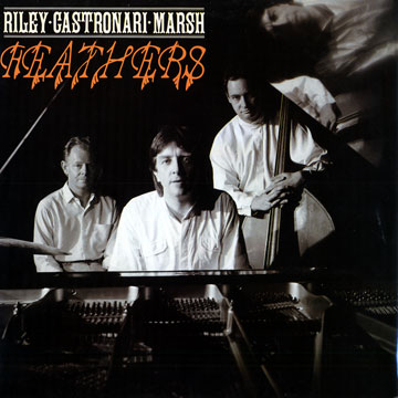 feathers,Mario Castronari , Tony Marsh , Howard Riley