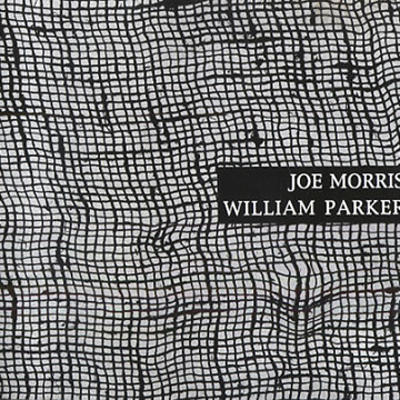 Invisible Weave,Joe Morris , William Parker
