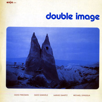 Double image,Michael DiPasqua , David Friedman , Dave Samuels , Harvie Swartz