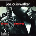 blues survivor, Joe Louis Walker