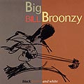 Black, Brown and White, Big Bill Broonzy