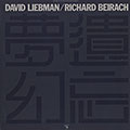 Forgotten fantasies, Richard Beirach , David Liebman