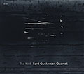 The well, Tord Gustavsen