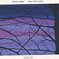 Shadow bright, Bruce Stark
