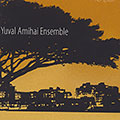 Yuval Amihai ensemble, Yuval Amihai