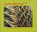 Cactus geometries-offrande, Javier Alvarez , Florent Jodelet , Simon Limbrick