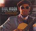 If you Really Want, Raul Midon