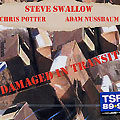damaged in transit, Steve Swallow