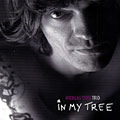 in my tree, Nicolas Thys