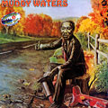 Chicago golden years vol.5 double album, Muddy Waters
